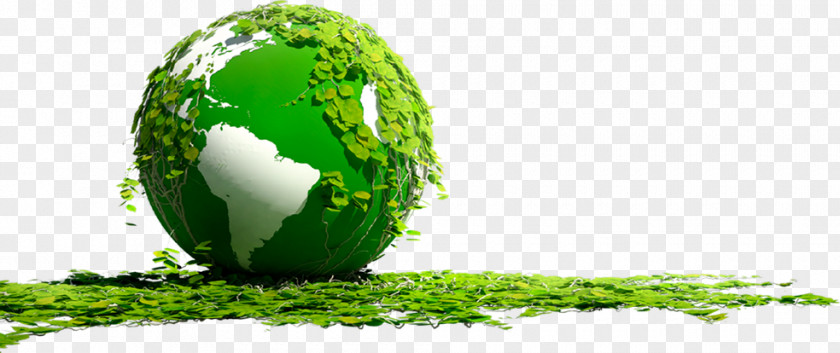 Environmental Earth Ceiling Business PNG