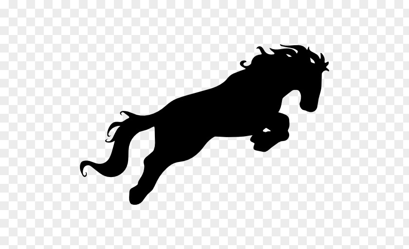 Horse Silhouette Equestrian PNG
