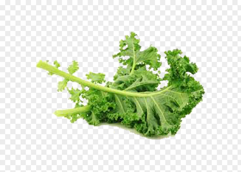 Kale Leaf Vegetable Stamppot PNG