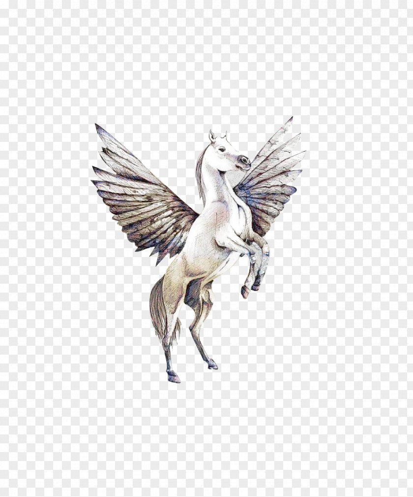 Pegasus Wing PNG