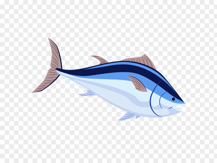 Shark Seafood PNG