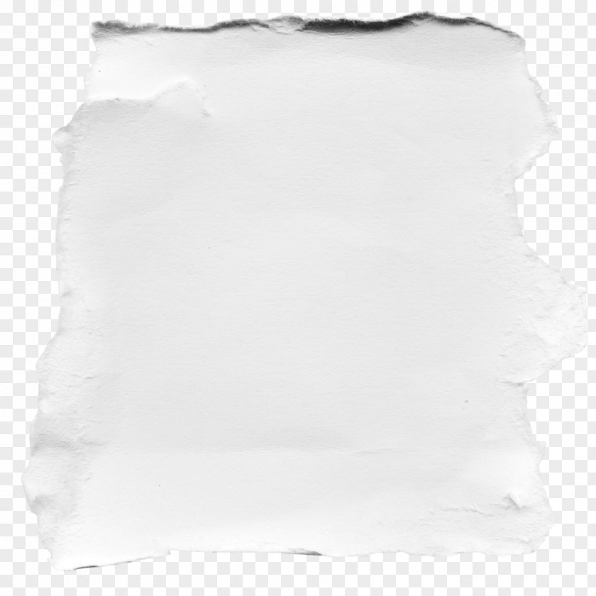 White Paper Sleeve PNG