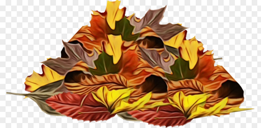 Anthurium Tree Leaf Yellow Flower Plant PNG