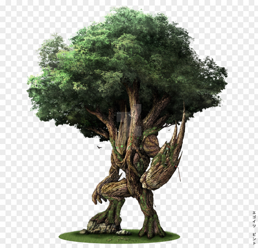 Bonsai The Lord Of Rings Gandalf Treebeard Groot Ent PNG