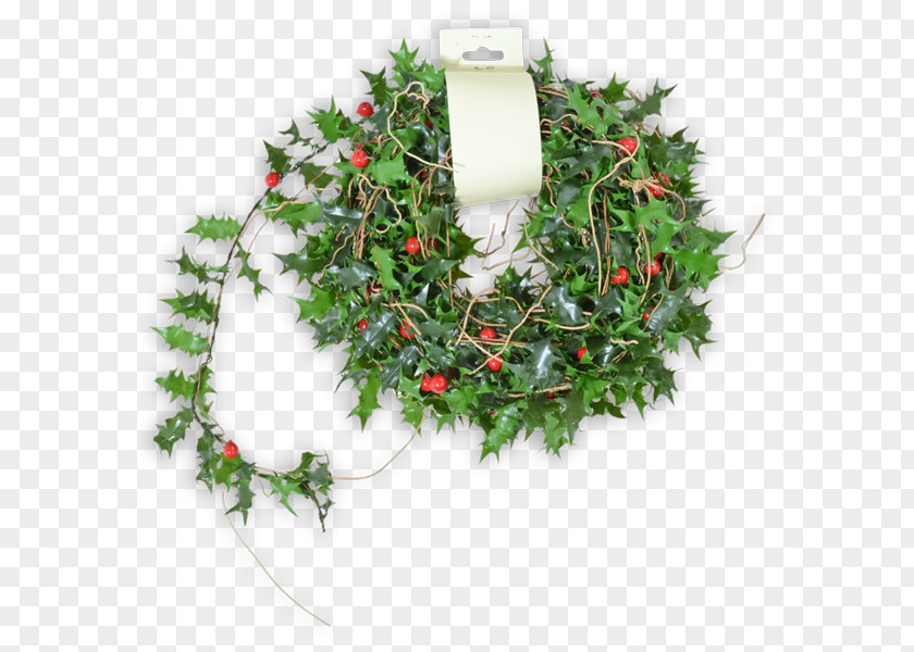 Christmas Wreath Twig Ornament Aquifoliales PNG