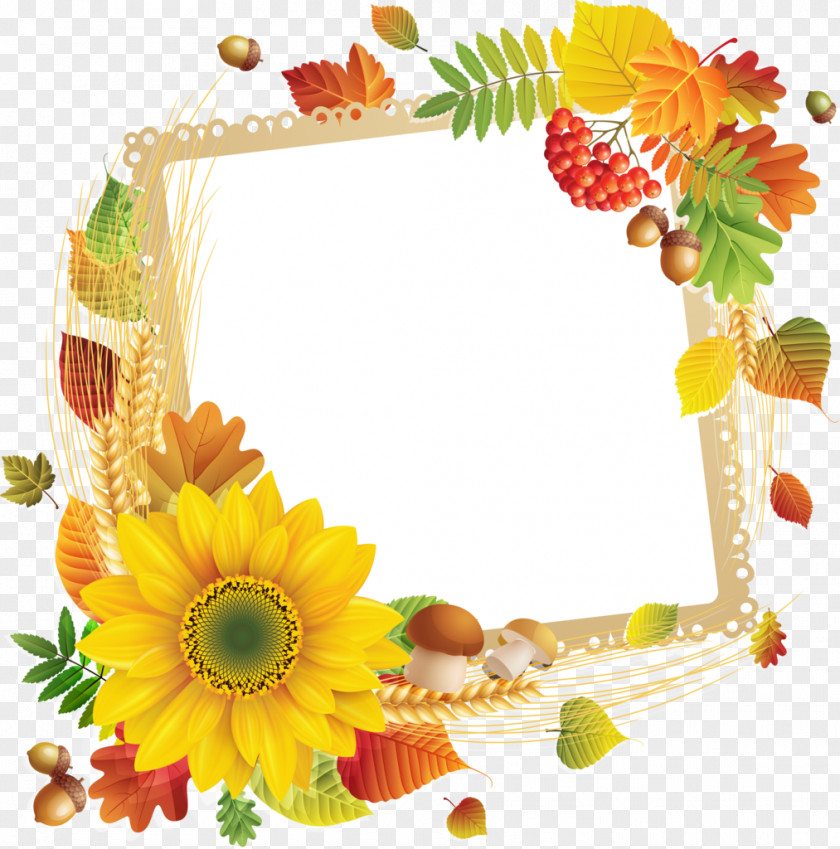 Flower Floral Design Picture Frames Google PNG