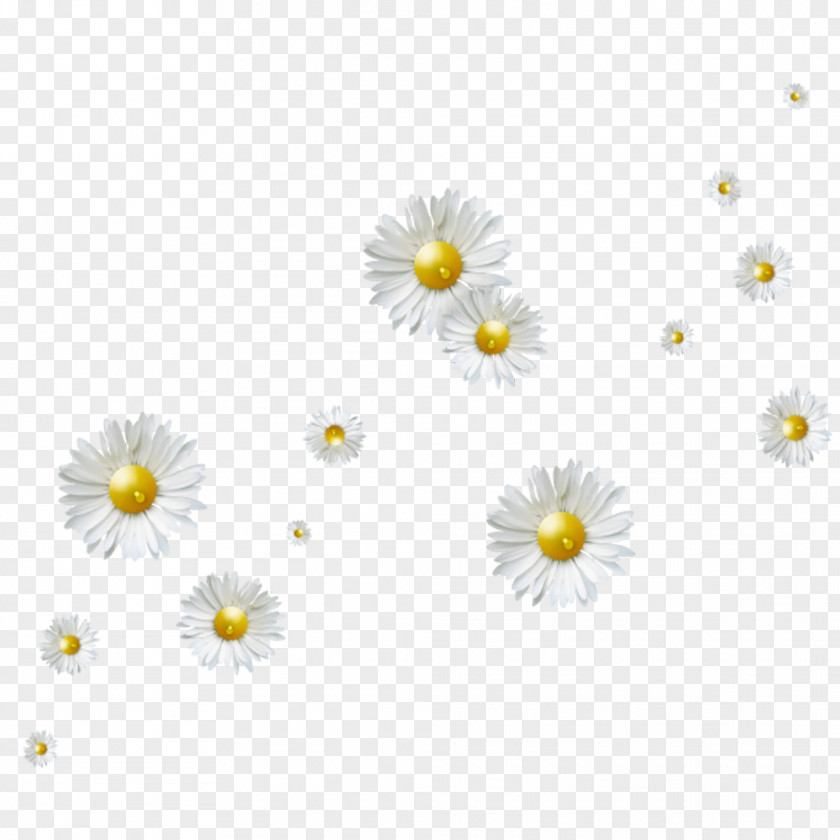 White Chrysanthemum Floating Material Flower Clip Art PNG