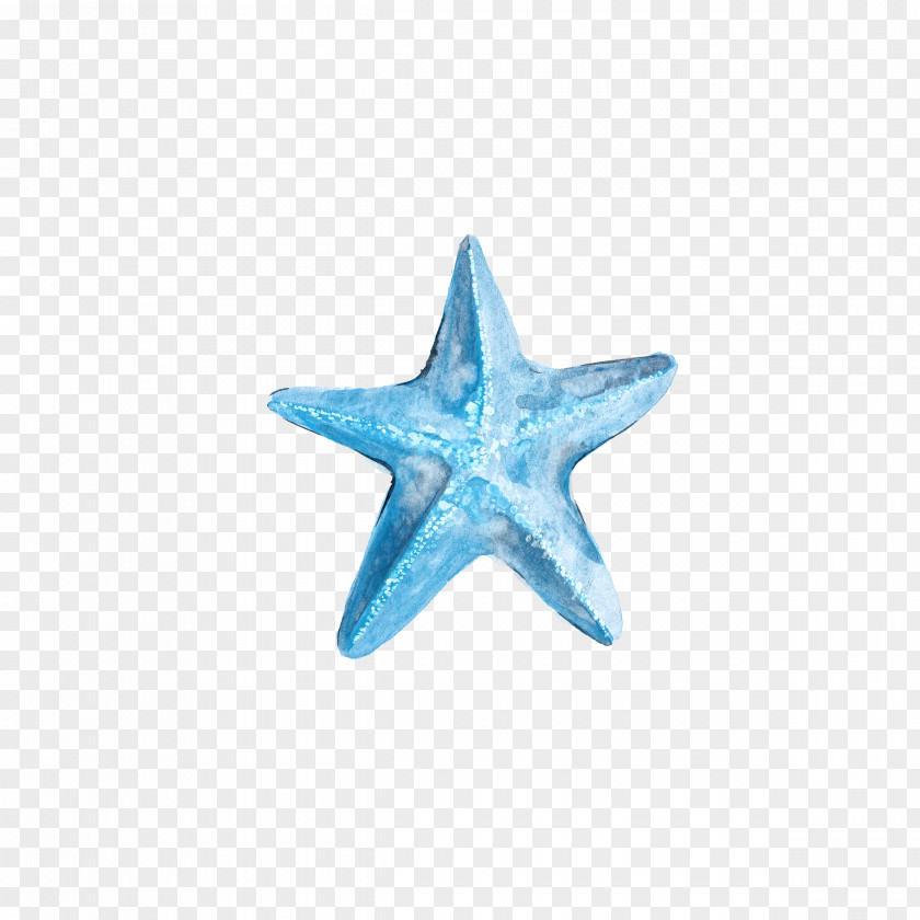 Blue Starfish Euclidean Vector PNG