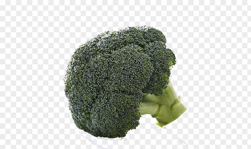 Broccoli Vegetables Vegetable Organic Food Tomato PNG