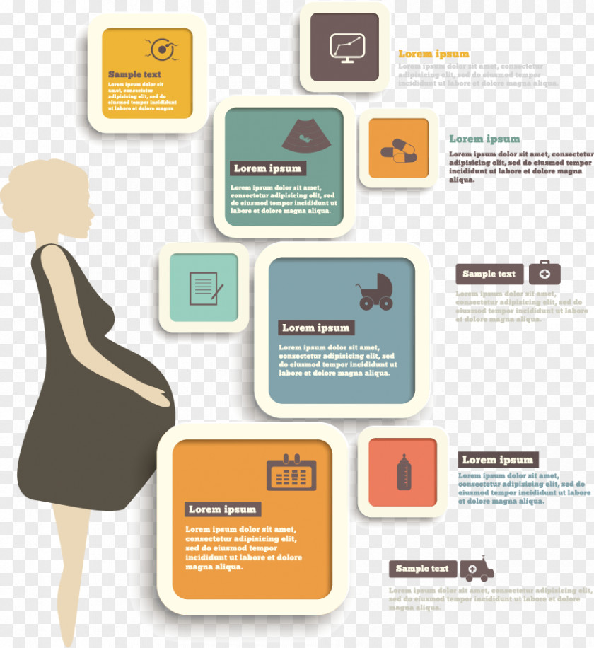 Cartoon Pregnant Women Vector Material Pregnancy Infographic Childbirth Clip Art PNG