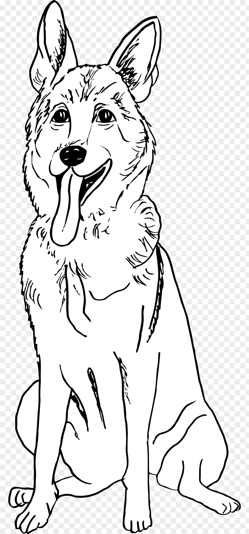 Dog Breed Red Fox White Line Art PNG