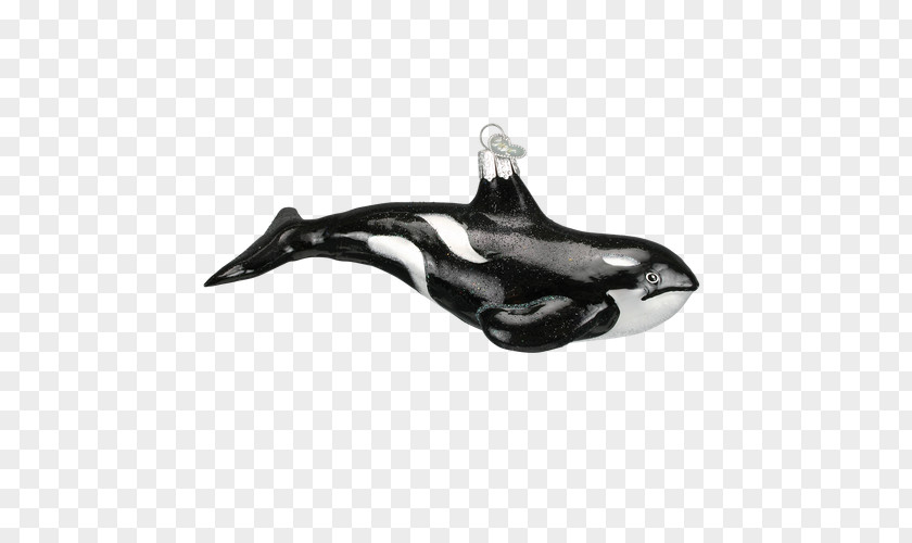 Dolphin Cetacea Killer Whale Glass PNG