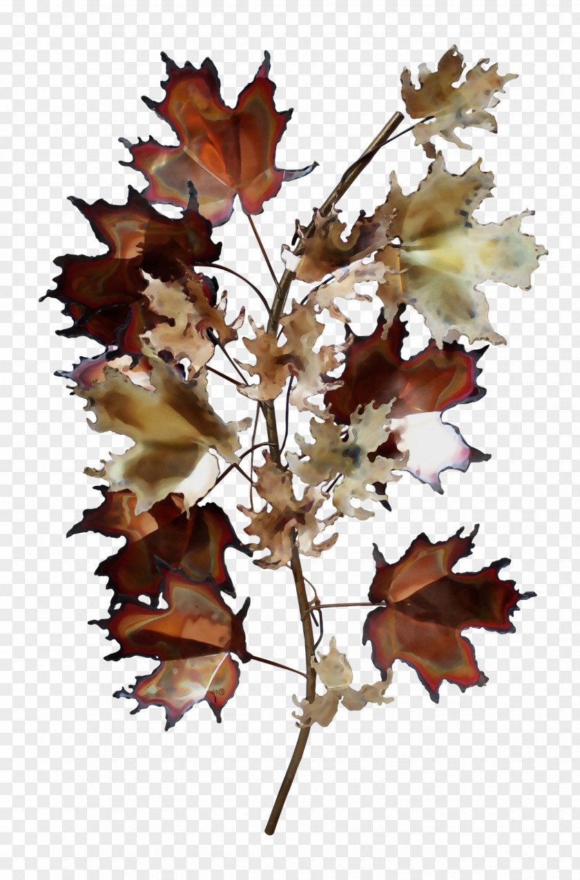 Maple Leaf Oak Tree PNG