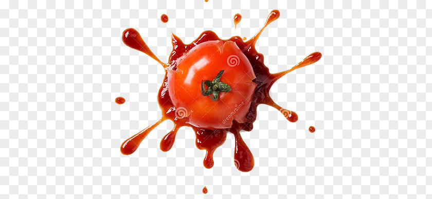 Pizza Stock Photography Tomato Italian Cuisine Ketchup PNG