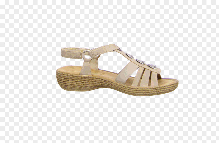 Slipper Clutch Slide Sandal Shoe PNG