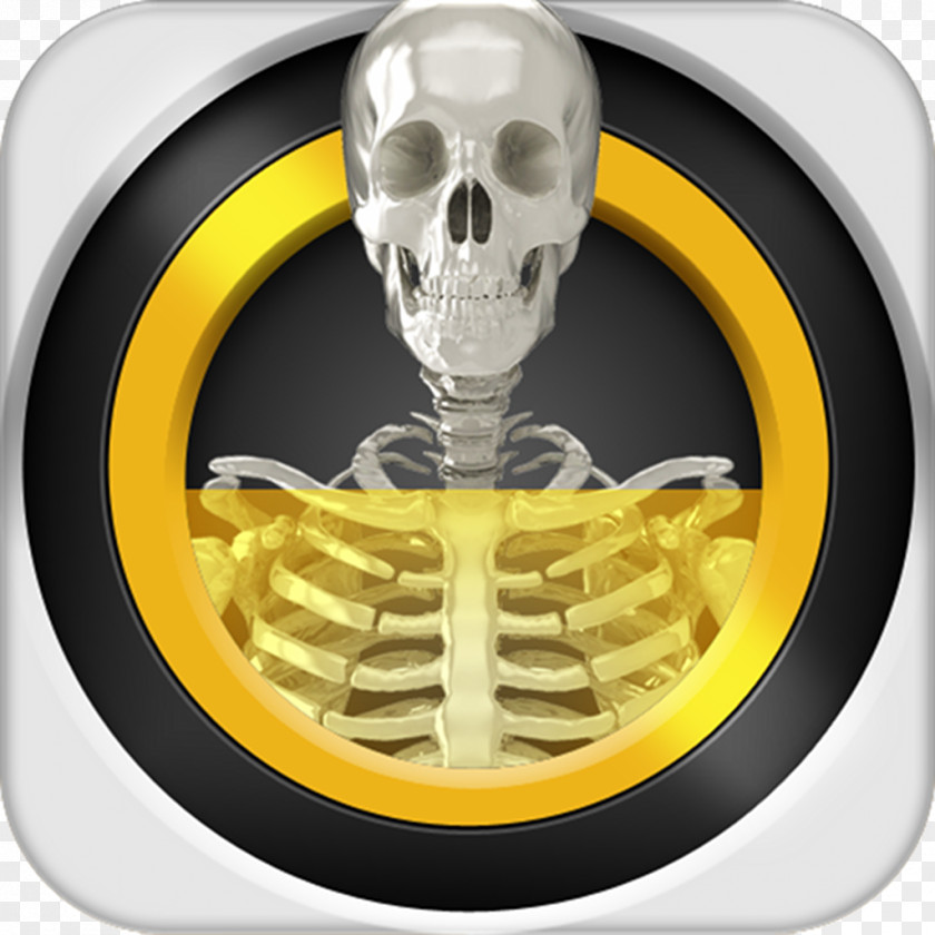 X-ray Real Scanner Simulator Backscatter Android PNG