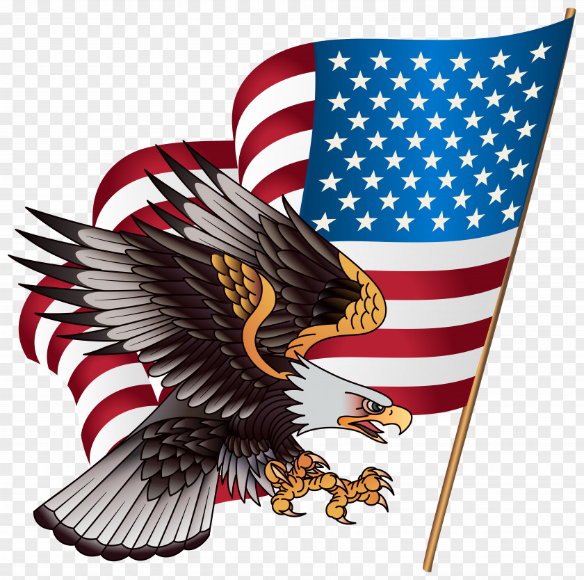 American Eagle Cliparts United States Bald Outfitters Stock.xchng Clip Art PNG