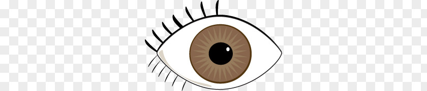 Brown Cliparts Eye Color Green Clip Art PNG