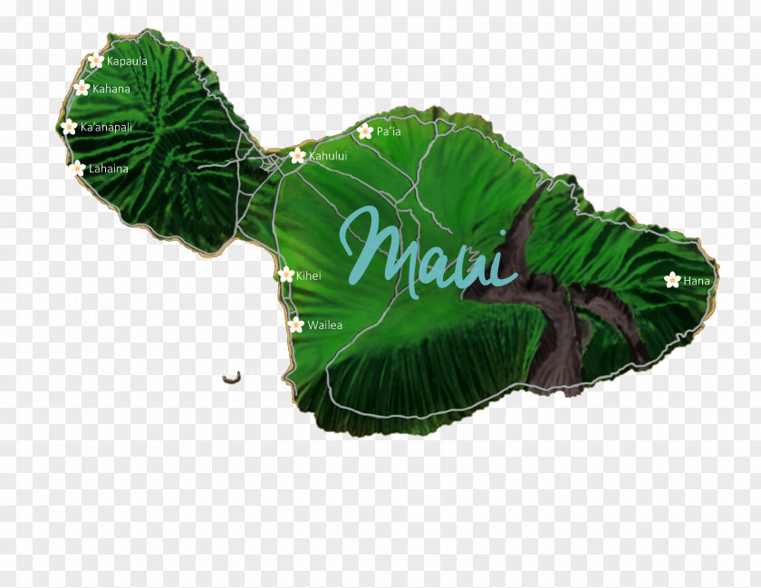 Hawaii Island Maui Lanikai Beach Kauai House Vacation Rental PNG