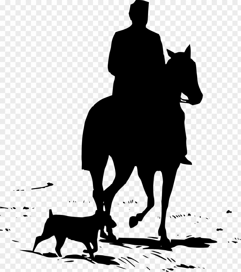 Horse Equestrian Silhouette Clip Art PNG