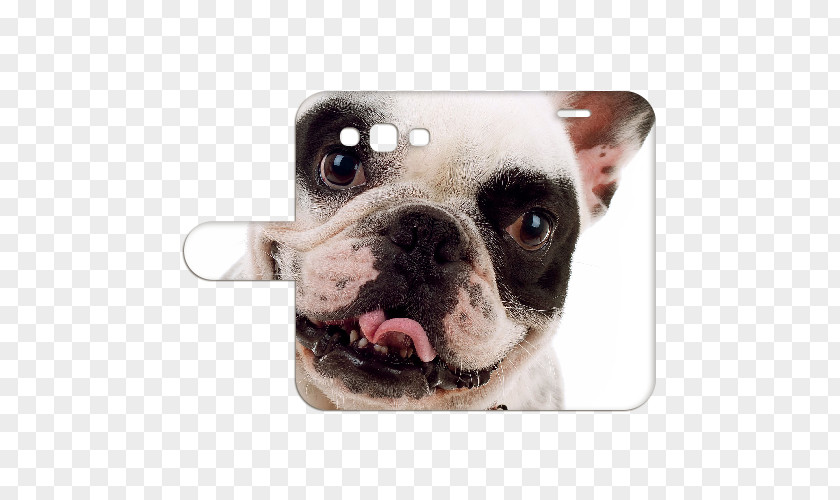 Puppy French Bulldog Samsung PNG