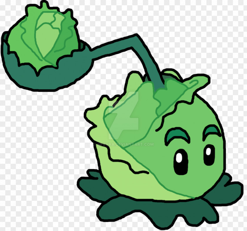 Cabbage Drawing Plants Vs. Zombies 2: It's About Time PNG