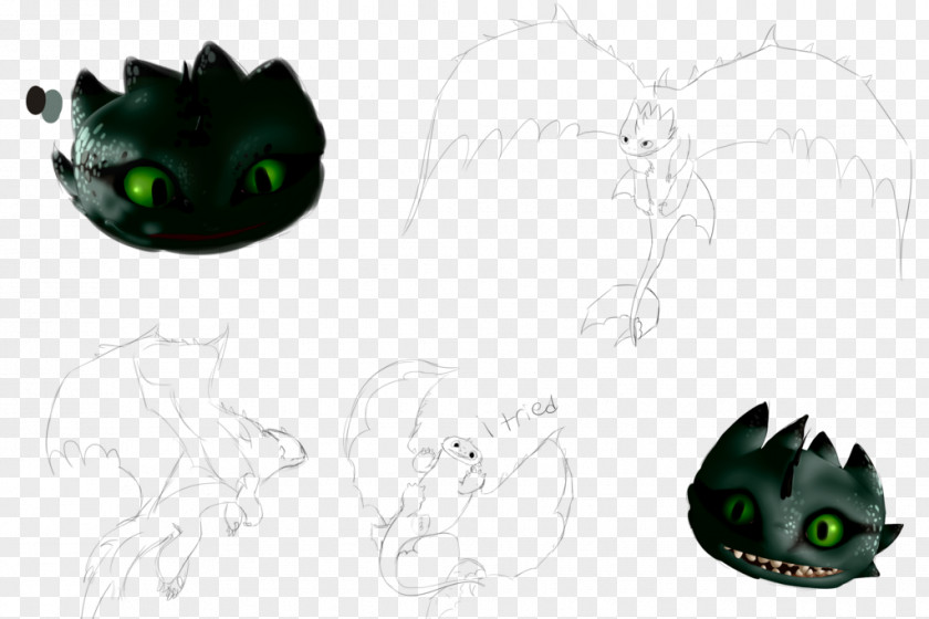 Cat Drawing Amphibian PNG
