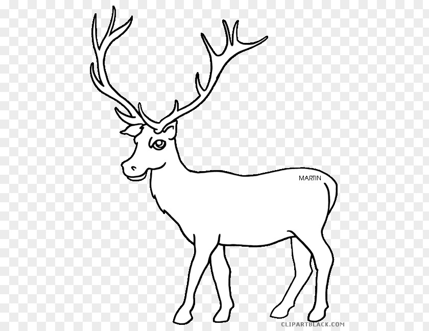 Christmas Moose Black And White Elk Clip Art Vector Graphics Free Content Image PNG