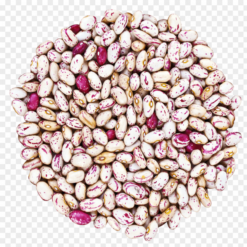 Cranberries Cranberry Bean Vegetarian Cuisine Food Ingredient PNG