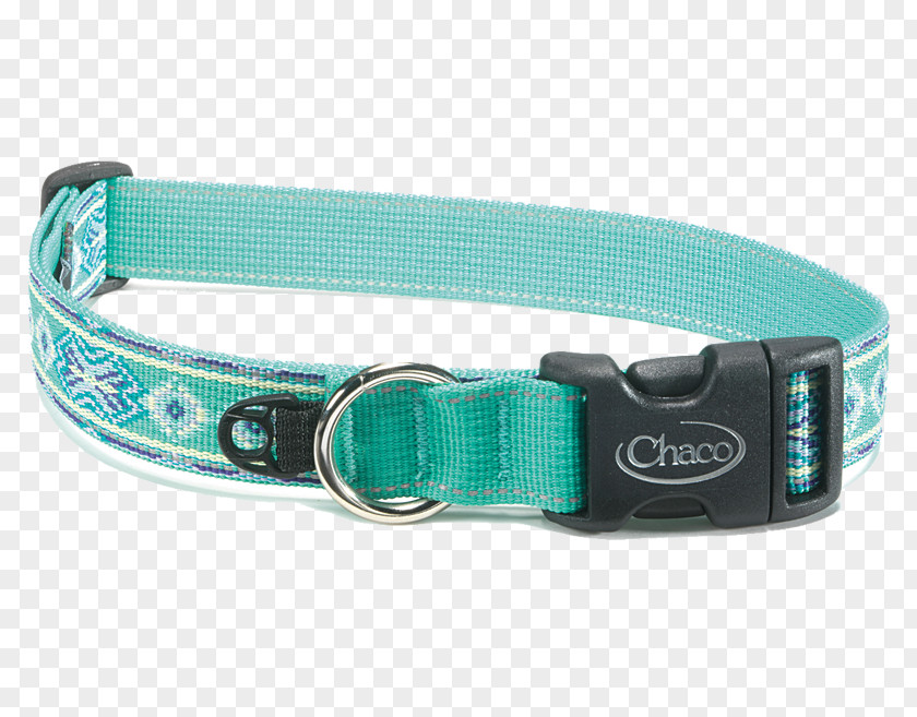 Dog Collars Leash Collar Pet PNG