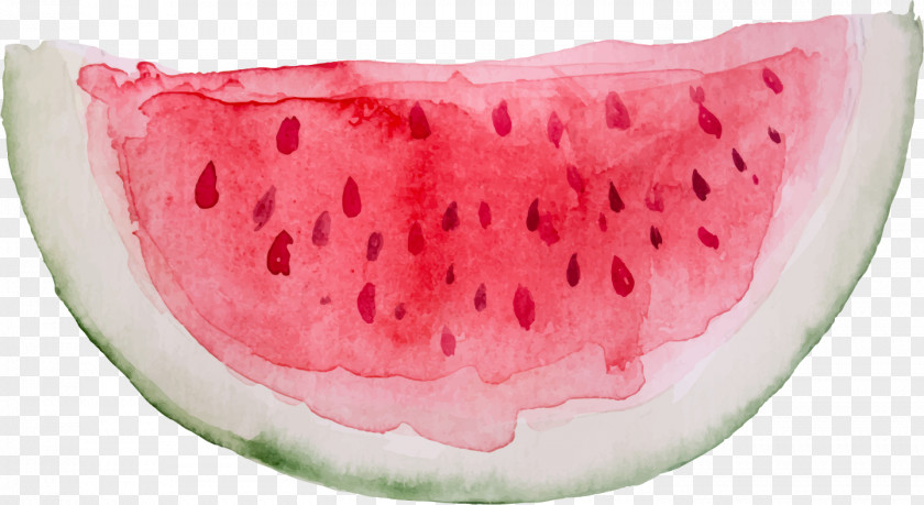 Flor De Fruta Watercolor Painting Vector Graphics Watermelon Illustration PNG
