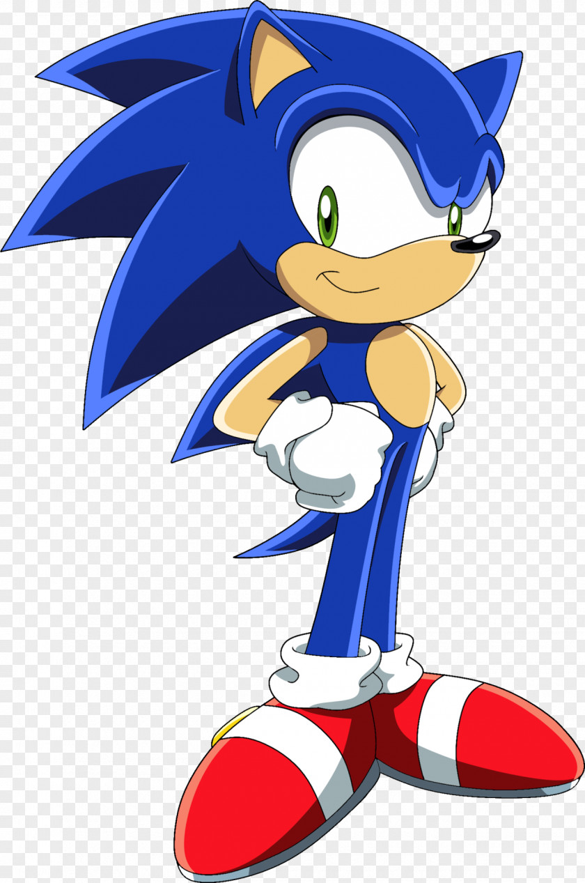 Hedgehog SegaSonic The Sonic & Sega All-Stars Racing Team PNG