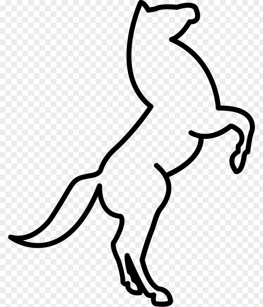 Horse Standing Drawing Rearing Stallion PNG