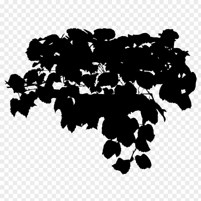 M Font Silhouette Grape Black & White PNG