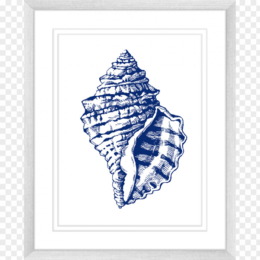 Seashell Art Minimalism Beach PNG