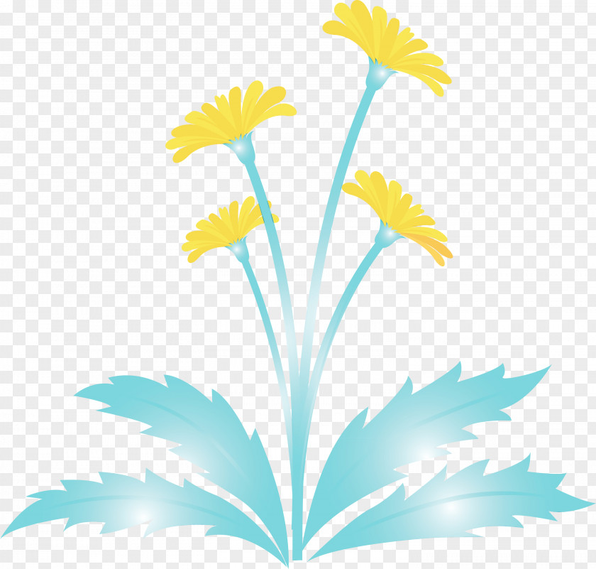 Yellow Flower Plant Leaf Chamomile PNG