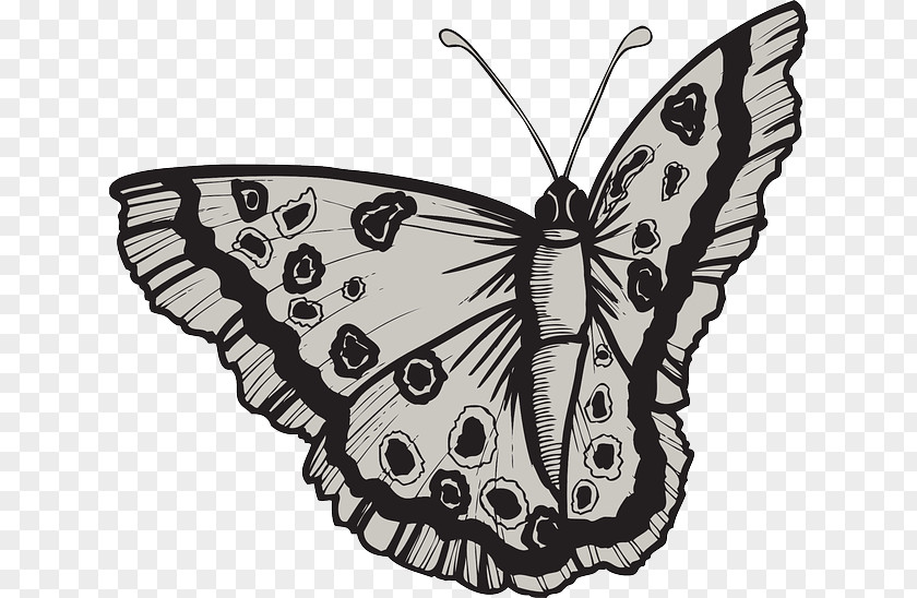 Butterfly Monarch Paper Insect Illustration PNG