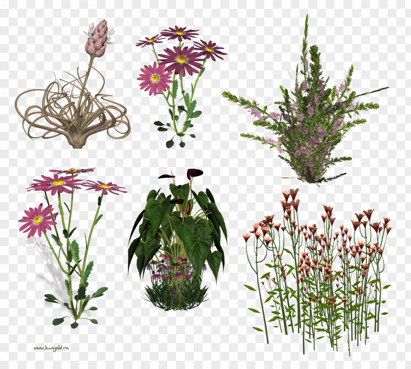 Chillicoriandermintgreen Floral Design Cut Flowers PNG