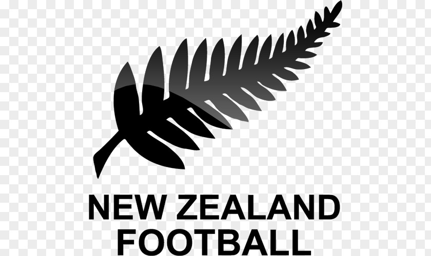 Football New Zealand National Team Logo Under-20 Women's PNG