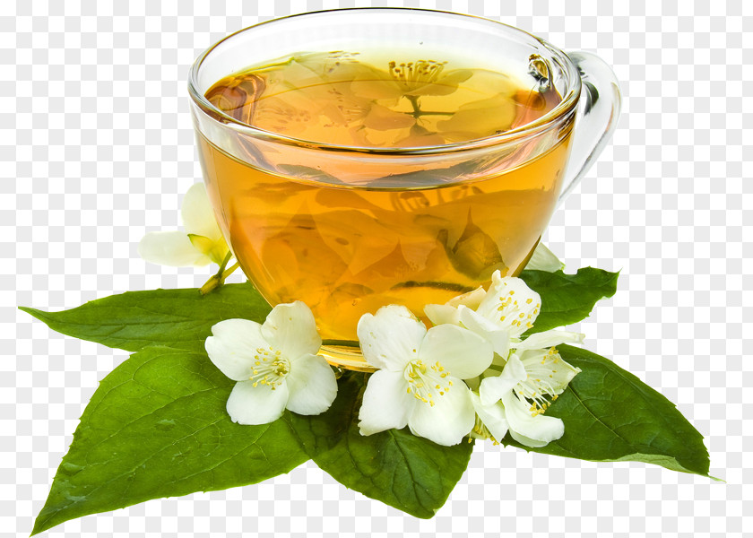Green Tea Flowering Jasmine Herbal PNG