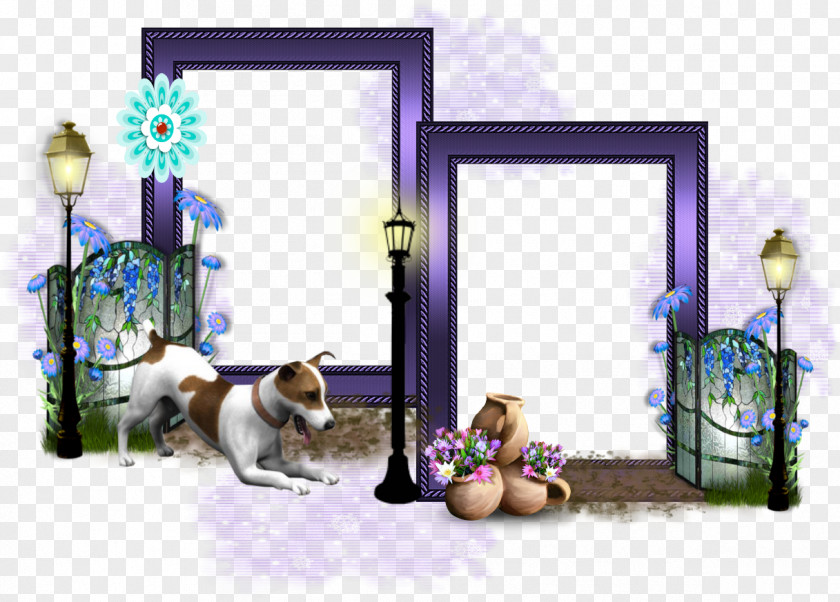 Photograph Picture Frames Window PNG