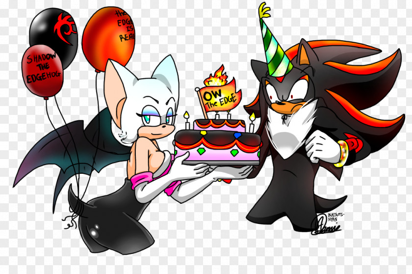 Sonic The Hedgehog Shadow Amy Rose Rouge Bat PNG