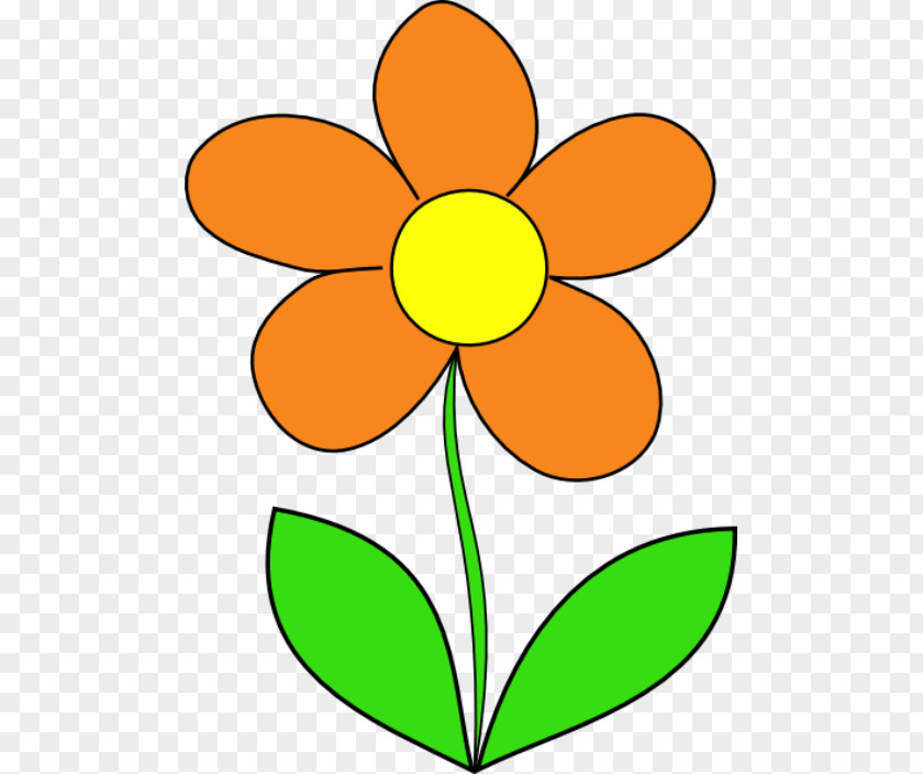 BUNGA Flower Drawing Animation PNG