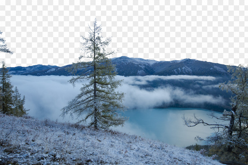 Kanas HD Snow Lake Pine High-definition Television PNG