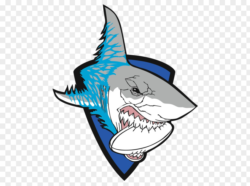 Shark Cartoon Headgear Clip Art PNG