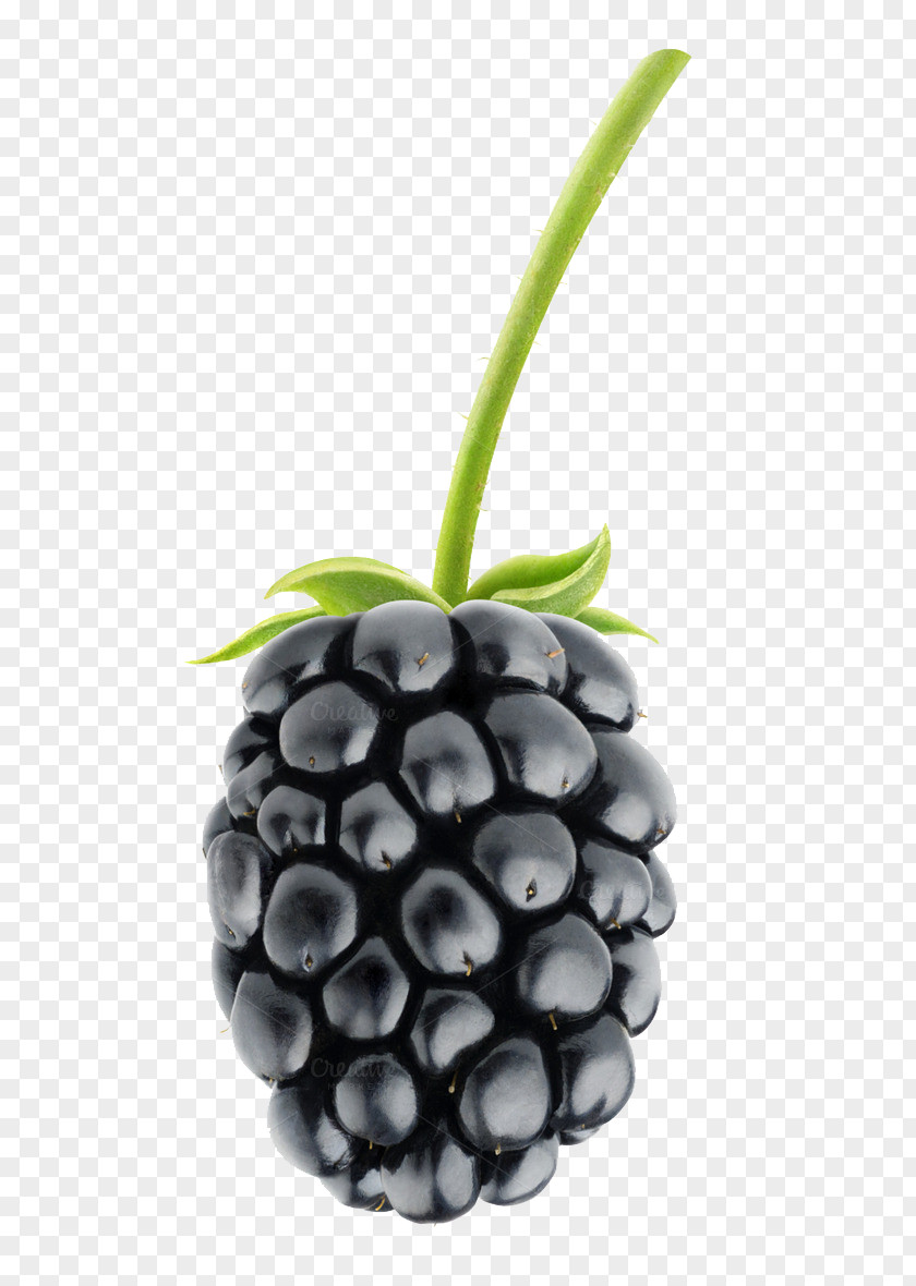 Blackberry Fruit Pic Pie Salad PNG