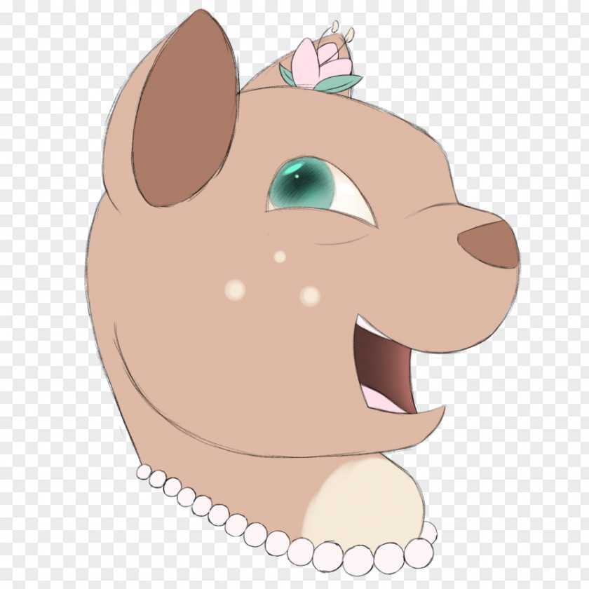 Cat Whiskers Pig Snout Canidae PNG