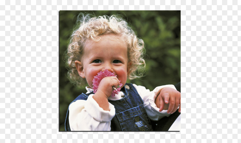 Ceramic Tiles Toddler PNG