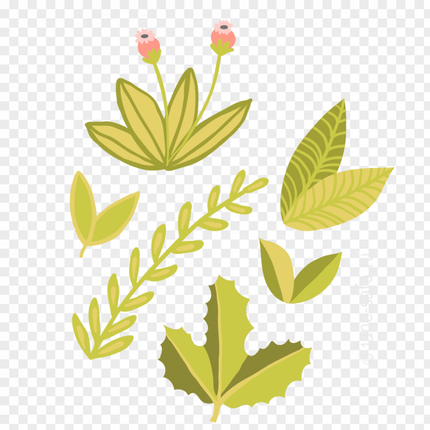 Leaf Look At Leaves Green Clip Art PNG