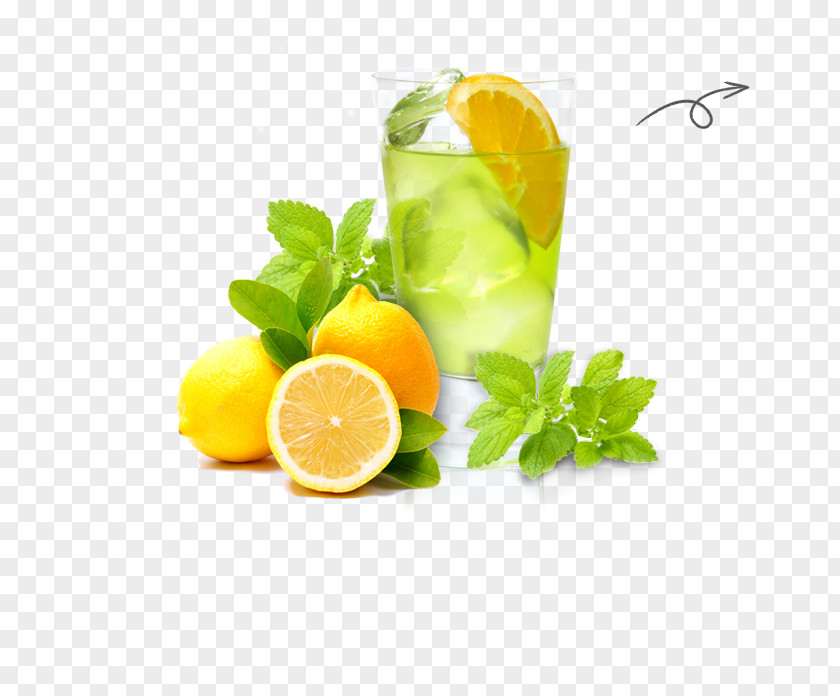 Lemon Lemonade Cocktail Garnish Limonana Mojito PNG